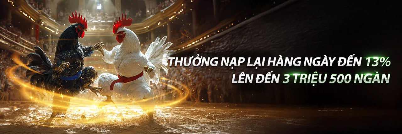 Đá Gà Trực Tiếp 24 Hôm Nay tại XS66
